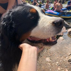 Meet your Posher, Bria